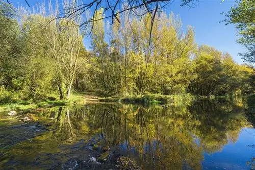 Фуэнтес Бланкас Парк Бургос