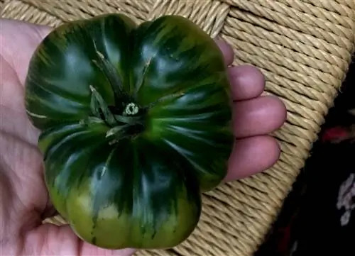Идеальный вкус, несовершенный внешний вид в Casa Joaquín.