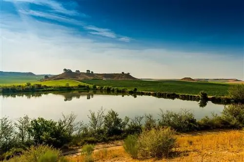 Винодельня Raimat в Лериде станет первым природным пространством в винодельческом поместье.