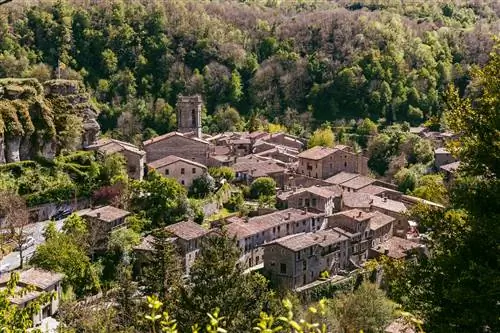 город Рупит.