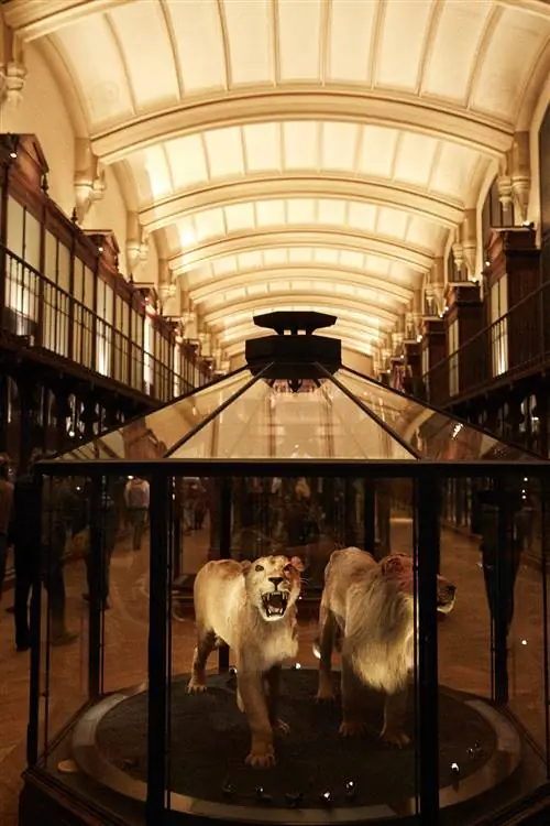 Большая галерея эволюции