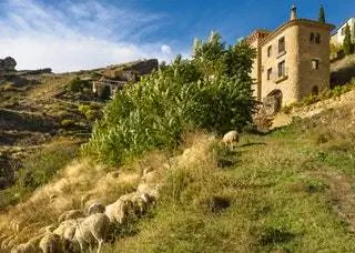 Хередад Берагу Наварра