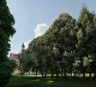 Мерсер Торре дель Ремей