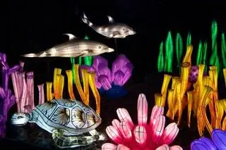 Праздничное световое шоу в виде морских животных и растений в зоопарке Бронкса.