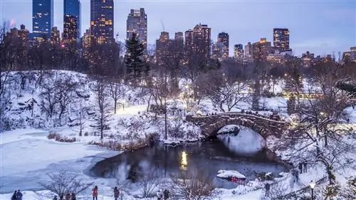 Что нужно для сказочного Рождества в Нью-Йорке