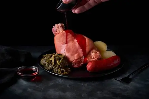 Концерн Dandyc Gallego.