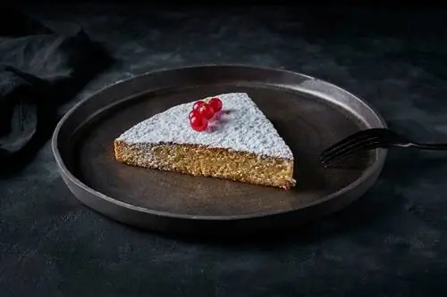 Торт Сантьяго Конкодильо Дендик.