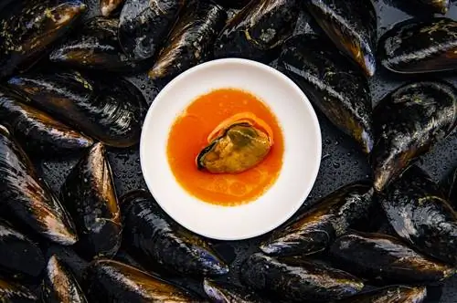 Первоклассный продукт барселонского ресторана A alta Botica.