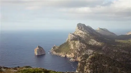 Журнал для фанатов The Walking Society возвращается 20 лет спустя