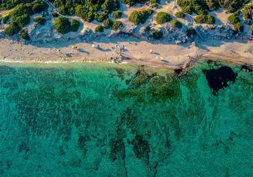 прошутто пойнт