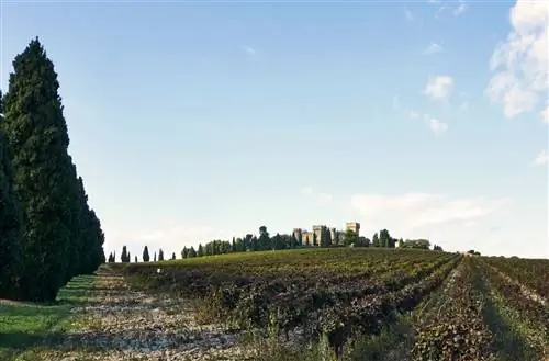 Впечатляющий замок Domaine Mousset.