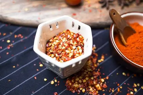 Shawa, новое место встречи любителей шаурмы в Мадриде