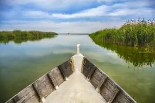 Природный парк Альбуфера Валенсийское сообщество