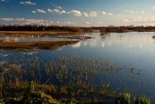 Природный парк Айгуамольс-де-л'Эмпорда Каталония