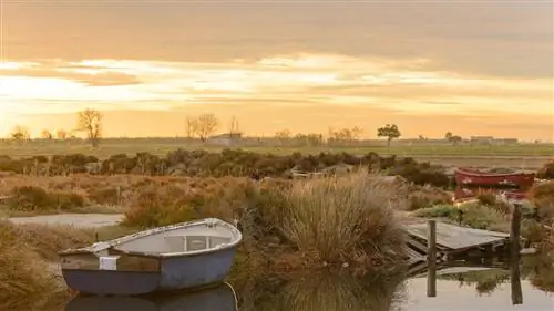 Дельта Эбро: возвышенная горизонтальность