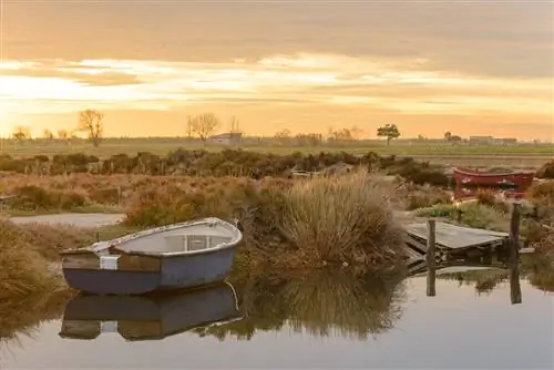 Дельта Эбро