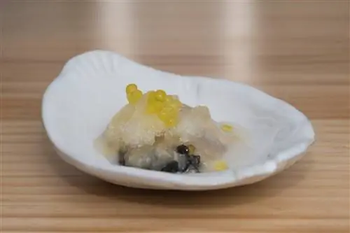 Люсия Фрейтас