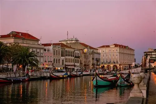 Гораздо больше, чем португальская Венеция