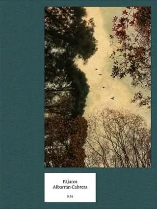 «Птицы» Албарн и Кабрера