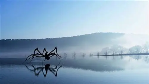 500 произведений искусства, которые приглашают вас в путешествие