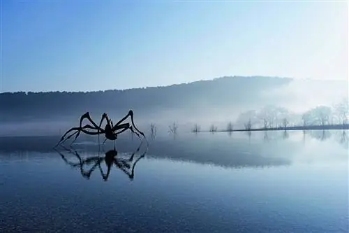 Луиза Буржуа Крадущийся паук 2003 Château La Coste Le PuySainteRparade Франция.