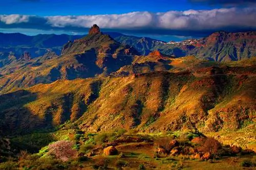 Одна из охраняемых территорий Mogn Parque Rural del Nublo.