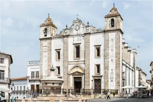 Хиральдо Эвора