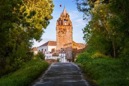 монтемороново