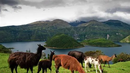 Природные прелести Эквадора за Галапагосскими островами