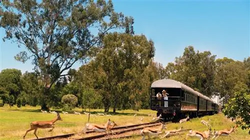 Rovos Rail, роскошь и эксклюзивность на рельсах