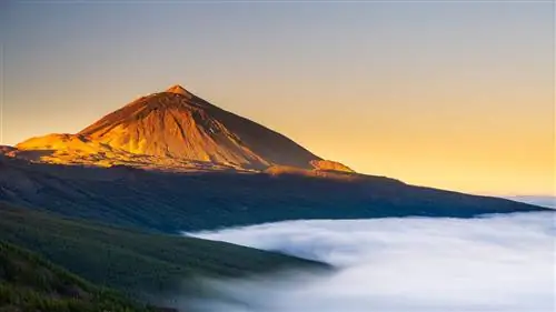 Тенерифе, самое популярное направление в Испании этим летом (по данным Tripadvisor)