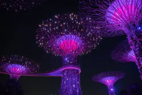 Supertree Grove Сингапур