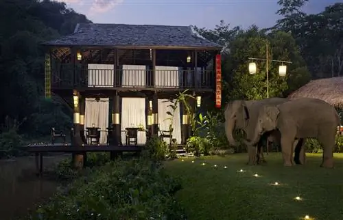 24 спасенных слона живут в слоновьем лагере и курорте Anantara Golden Triangle.