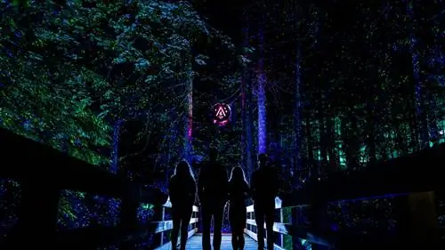 Vallea Lumina или как наполнить канадский лес светом и музыкой