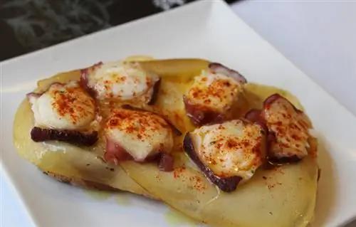 Тост из осьминога в Атаразане