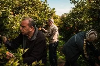 «Ла Террета» лучшая фотография 2019 года в категории «Студент»