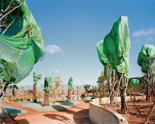 Лучшая фотография 2019 года "К югу от разноцветных облаков" в категории "Пейзаж"