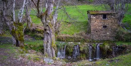Старый склад каштанов Самос