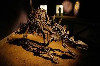 Zigong Museum - музей юрского периода площадью 3600 квадратных метров.