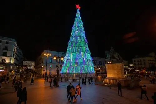 Пихта Девота Ломба