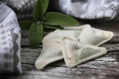 Типичная лигурийская паста Pansotti.