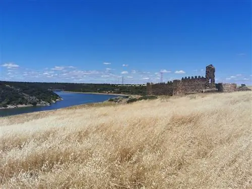 кастротарафе