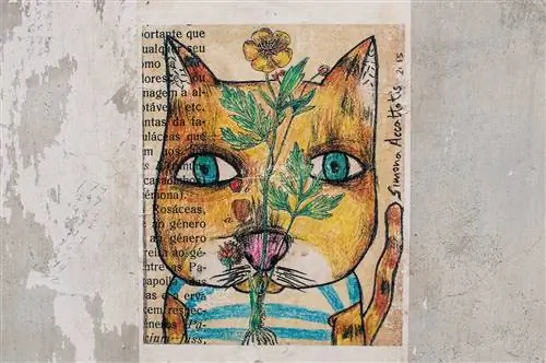 Коимбра Граффити Коимбра Граффити