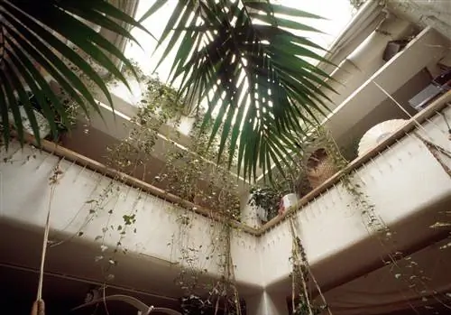 адский скребок