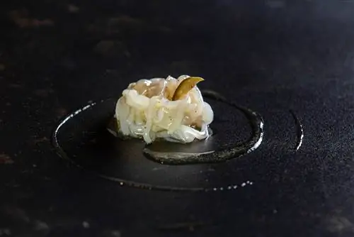 Кальмар кру со сливочным соусом