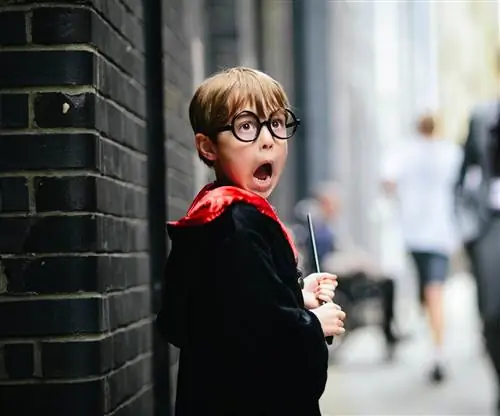 Гарри Поттер