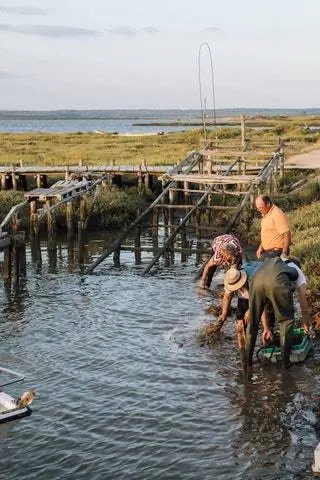 Если вам удастся выбраться из отеля, вас ждут чудеса, начиная от уроков серфинга и заканчивая пешеходными маршрутами…