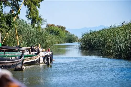 лагуна