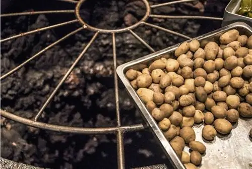 Другой способ попробовать канарский картофель.