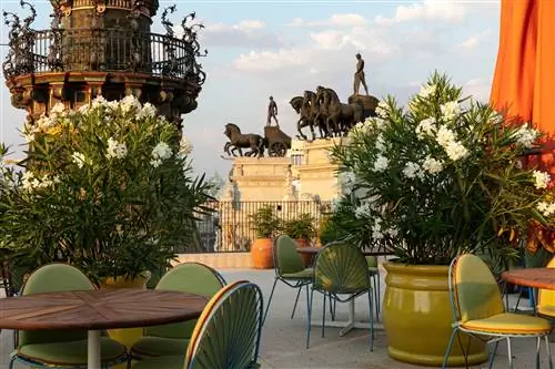 Спа-центр Four Seasons Madrid - крупнейший городской спа-салон в Испании.